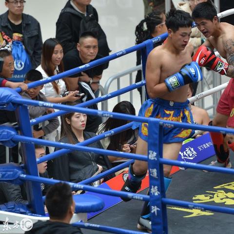 沈阳市无线电怎么报名