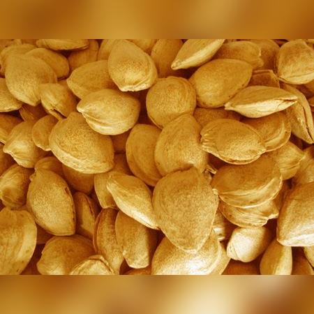 保定市除虫公司电话的长尾关键词有哪些