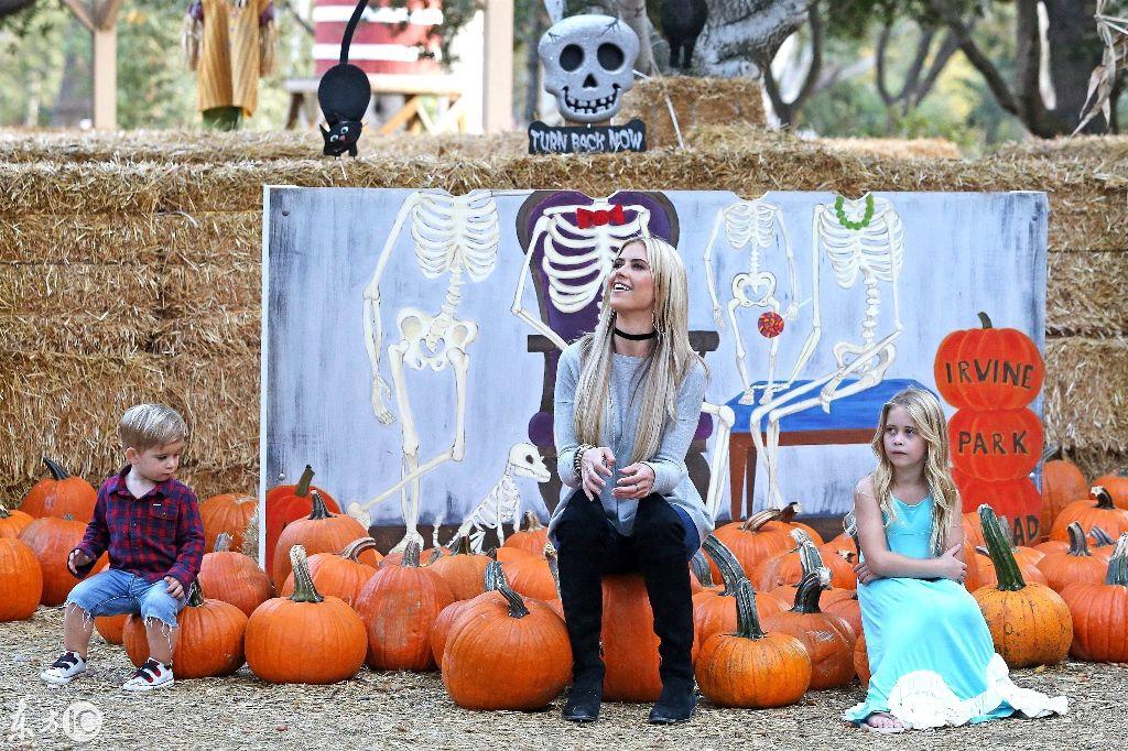  Discover the Best Pumpkin Patch in St. Pete: A Family-Friendly Adventure Awaits!