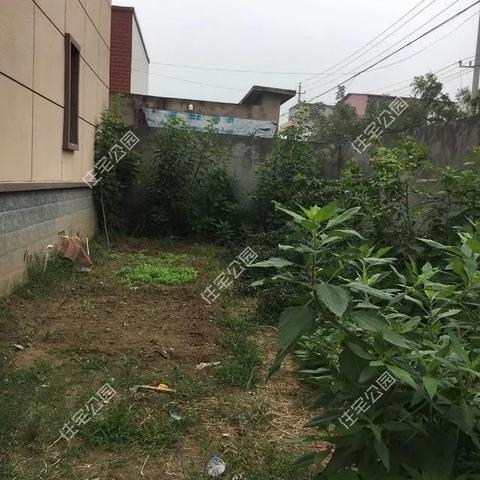 河南建设工程监理怎么样