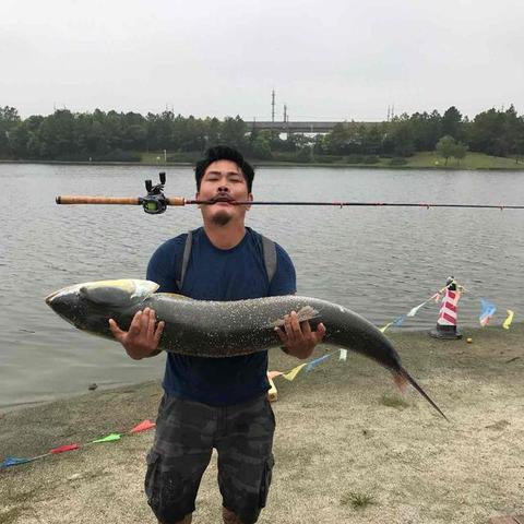 上海靠水住宅有哪些