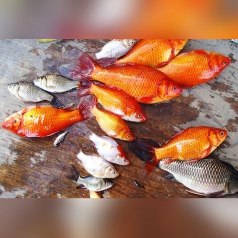 人工智能入侵人类的电影的相关长尾关键词有哪些