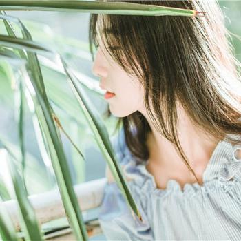 生肖羊七八月运势如何看(属羊7月运程)