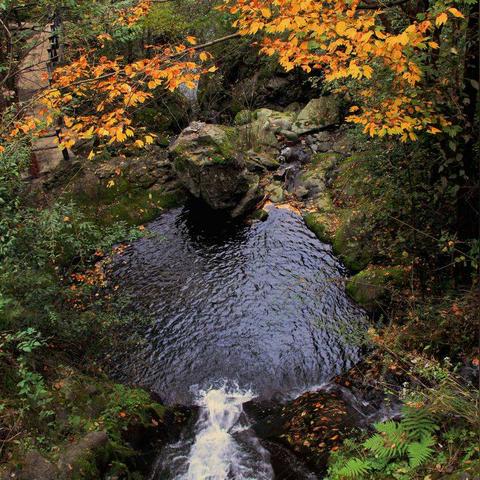 西安市什么县最近