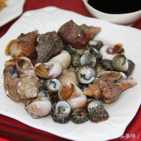 温州市海螺田螺哪里有的长尾关键词有哪些