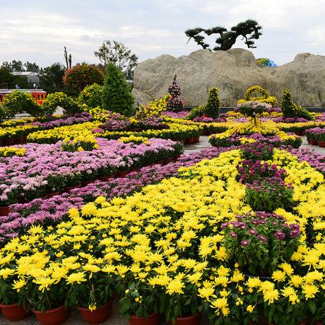 南通金秋长尾关键词有什么