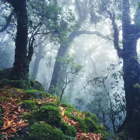 昆明市人间什么饭店的长尾关键词有什么