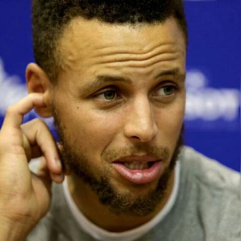 上海的海边森林有哪些