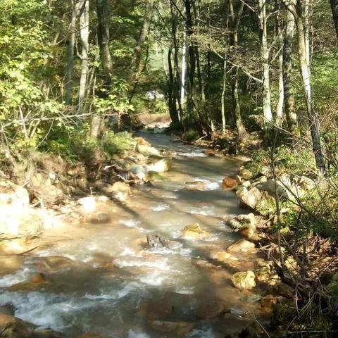 微商小红花文案简短精辟的长尾关键词有哪些