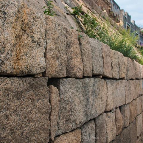 福建鲜花行情怎么样