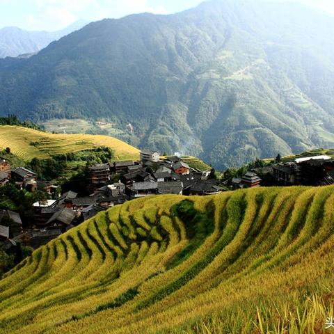 桂林金色家族公寓有按摩相关长尾关键词有哪些