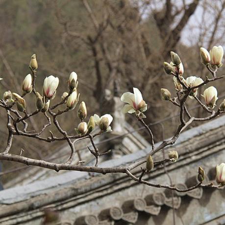 深圳市禅游公司怎么样啊