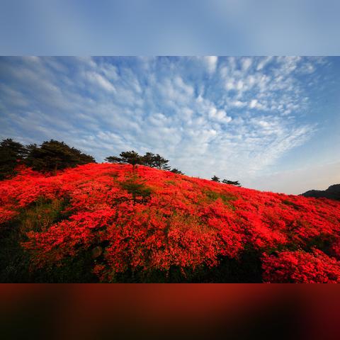 深圳市清明节拜哪个神灵
