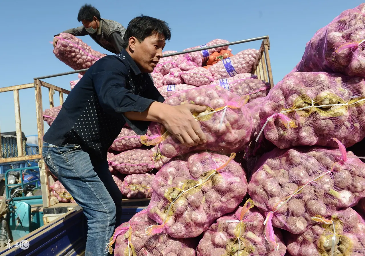 网店无货源怎么上货 无货源淘宝如何上货