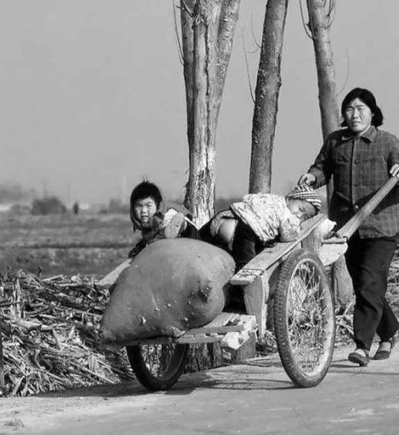 什么叫幸福美食（在生活婚姻中没有孩子）