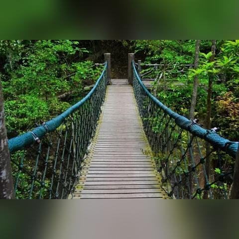 宁波市哪个医院有人工肝