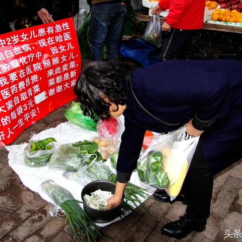 【哈尔滨今日蔬菜价格】2025年5月9日哈尔滨蔬菜价格是多少