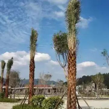 福建新泉温泉的相关长尾关键词有哪些