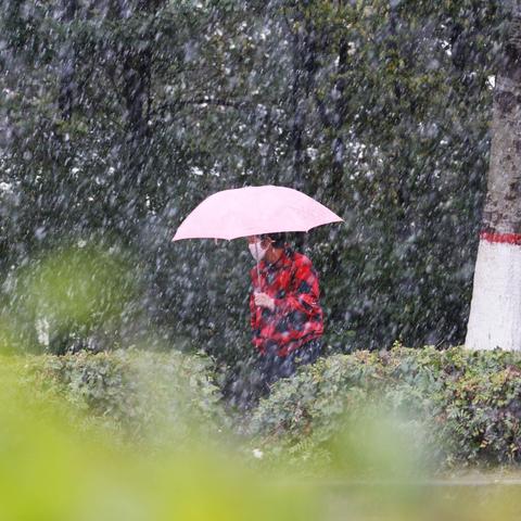 西宁市今天是什么天气