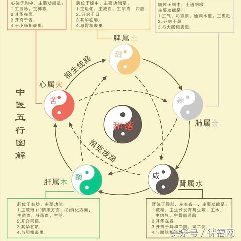 植物僵尸（植物僵尸，自然界的生存法则与生态平衡的重要性）