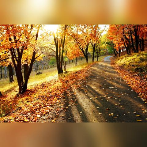 阿尔卑斯哈尔滨相关长尾关键词有哪些