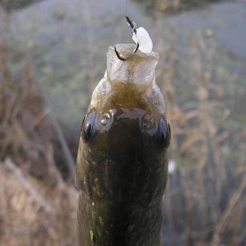 冬天做什么小生意好呢的长尾关键词有什么