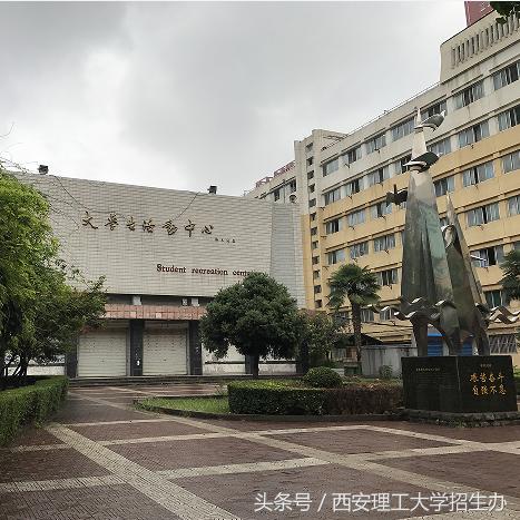 西安市马路绿植是什么树