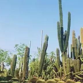 厦门入园照的相关长尾关键词有哪些