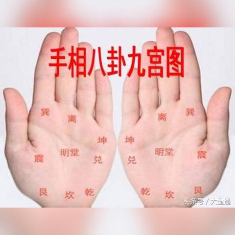 八卦宫位图(后天八卦宫位图)