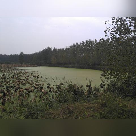 还有什么古诗描写秋天的