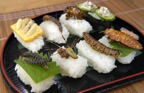 颜料可以做什么美食（水彩新手有什么颜料推荐）