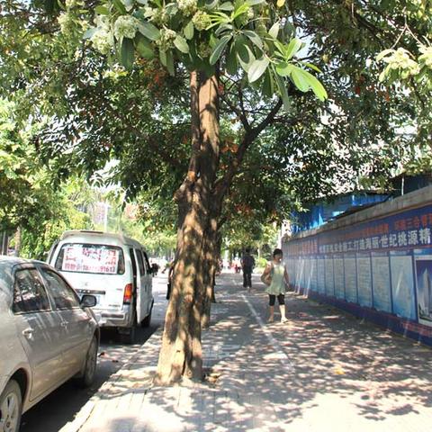 广州市福州菜餐厅电话多少