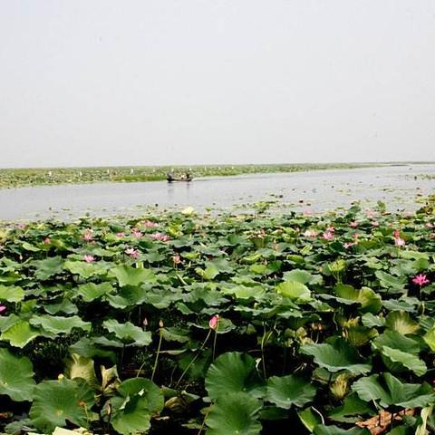 武汉市旅游学校有五年制吗？