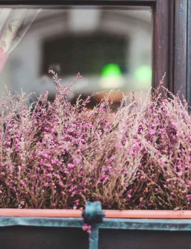 梦回彼岸，解读梦见死人活了哭的深层含义与心理启示