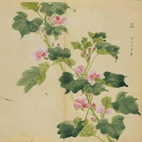 叶英姿杭州的相关长尾关键词有哪些