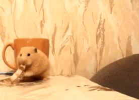 梦境之谜，解析梦见自己的尿又高又远的深层含义