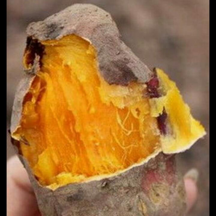 梦见自己在剖鱼