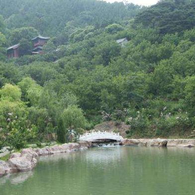 临沂市跳跳床的长尾关键词有什么