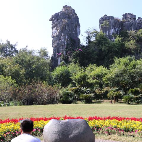 桂林市为什么要叫桂林