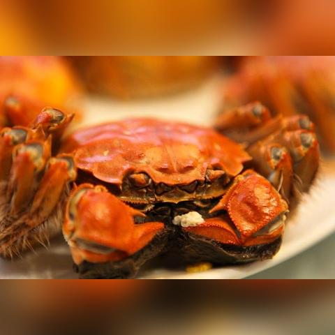 无锡市哪里买螃蟹好吃