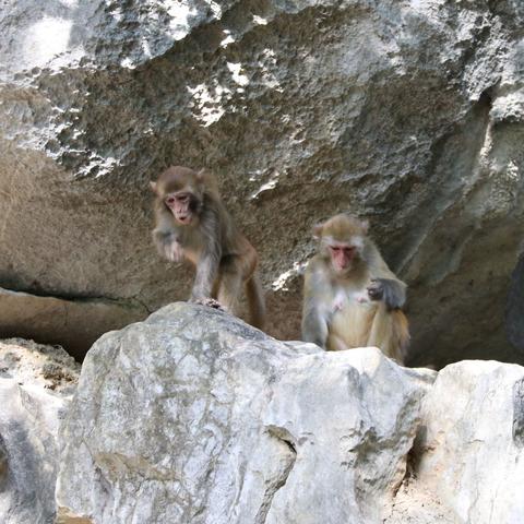 桂林市七星区有哪些景区