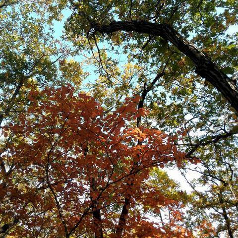 哈尔滨市到五营多少公里