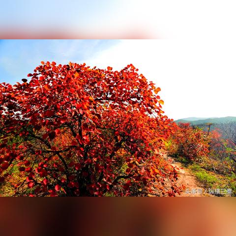 从西安到铜川再到到香山？
