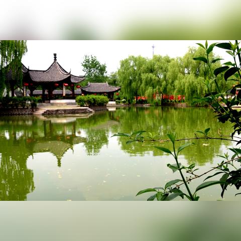 临沂市大院茶馆的长尾关键词有哪些