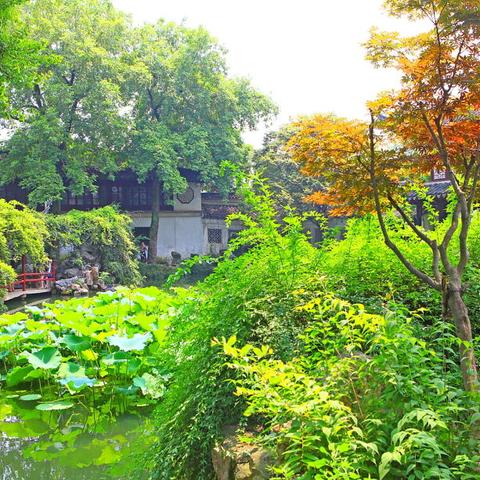 阊门是苏州市什么地方