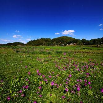 河南南北文化怎么样