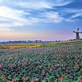 合肥市包河区属于什么区
