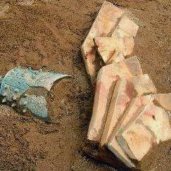 南通市哪里有石灰块出售