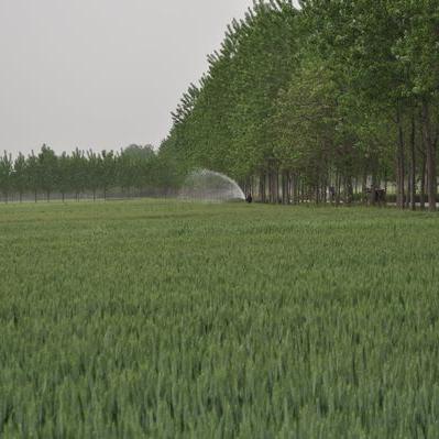河南西北部是哪个省市