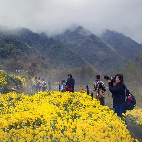 徽州天气天气预报15天的长尾关键词有什么